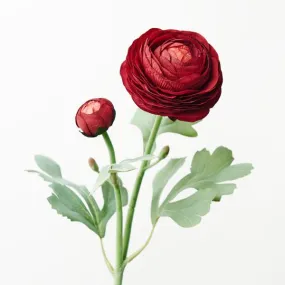 Ranunculus Spray Burgundy 50CML